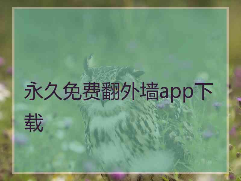 永久免费翻外墙app下载