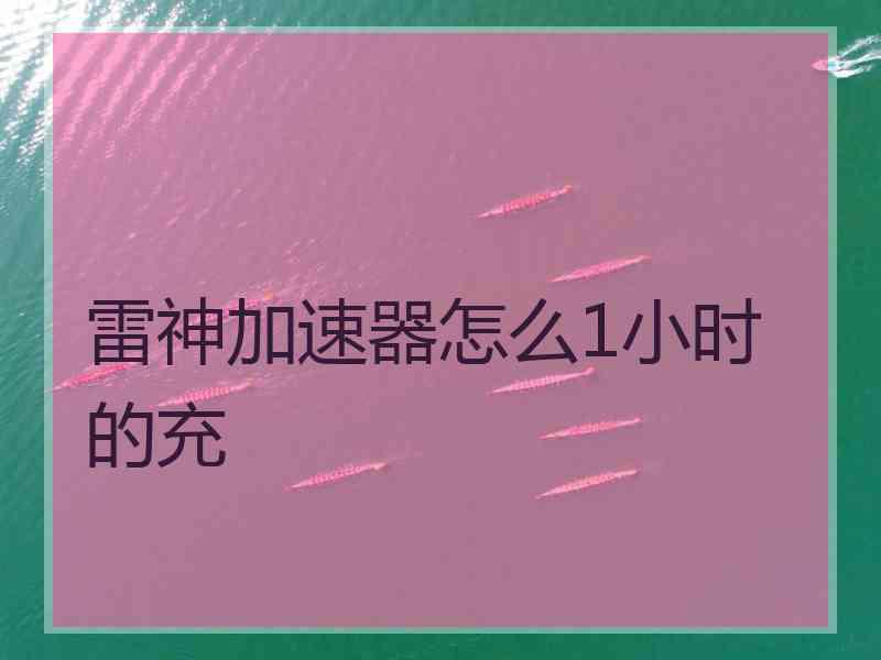 雷神加速器怎么1小时的充