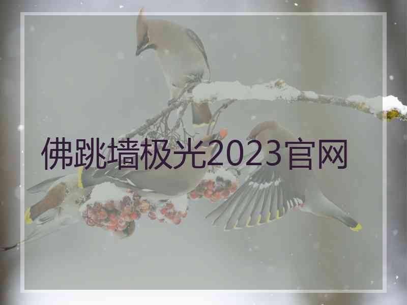 佛跳墙极光2023官网