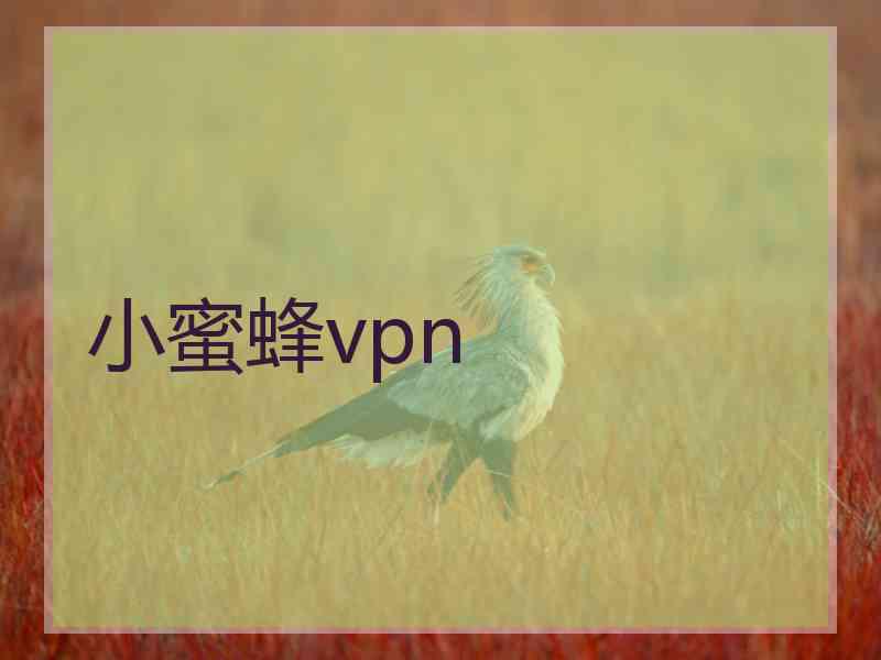 小蜜蜂vpn