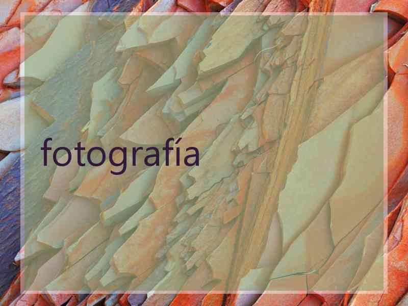 fotografía