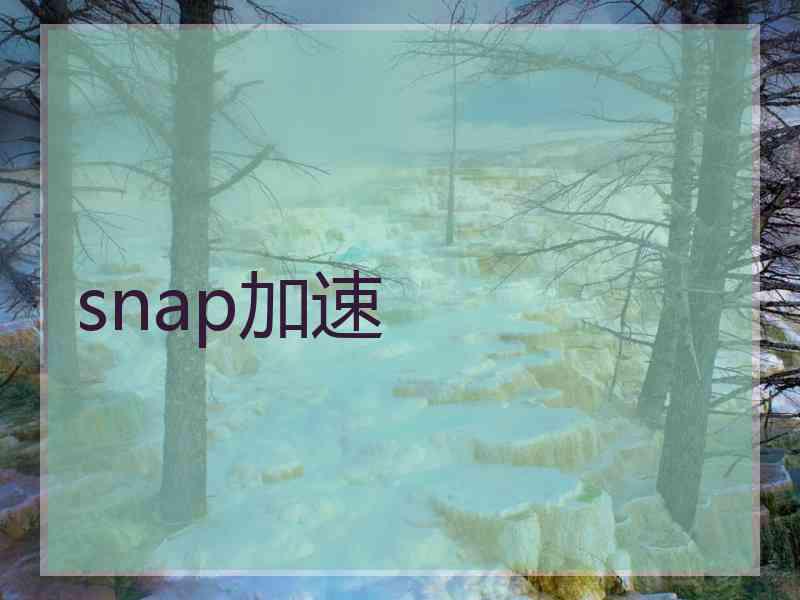 snap加速