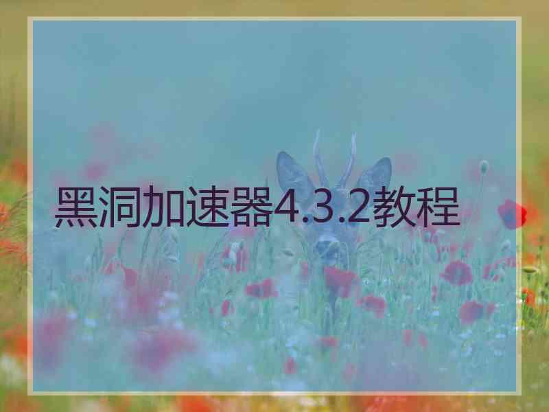 黑洞加速器4.3.2教程