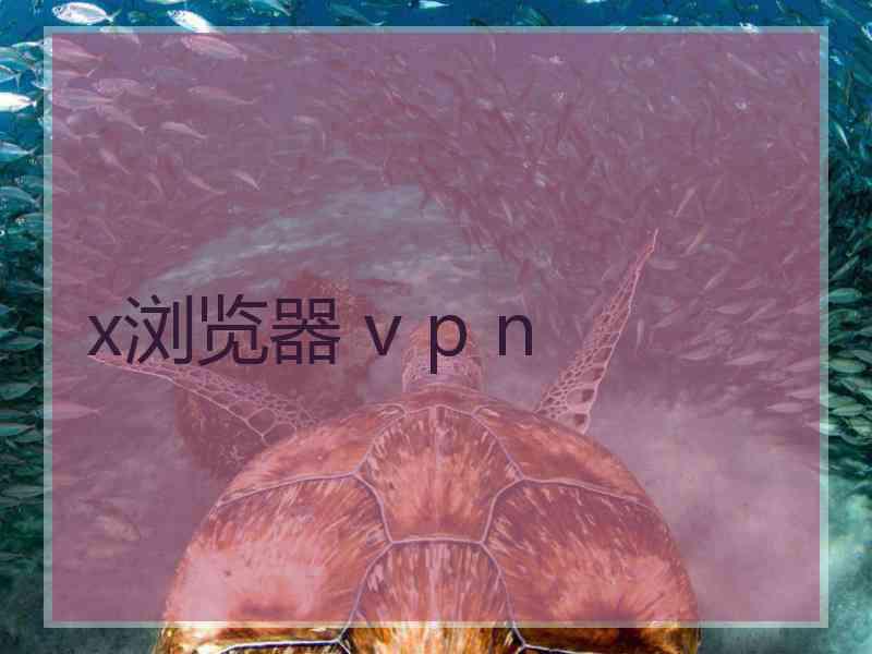 x浏览器 v p n