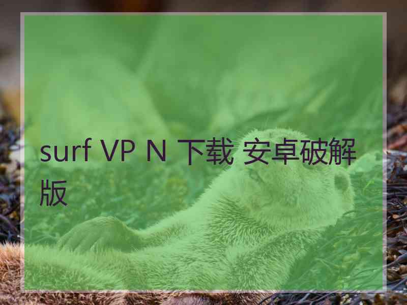 surf VP N 下载 安卓破解版