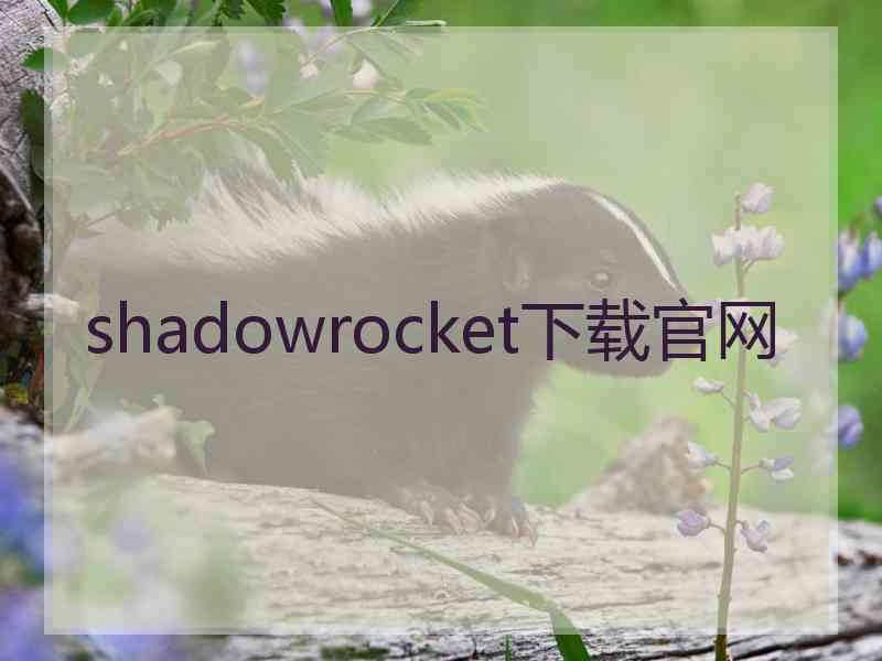 shadowrocket下载官网