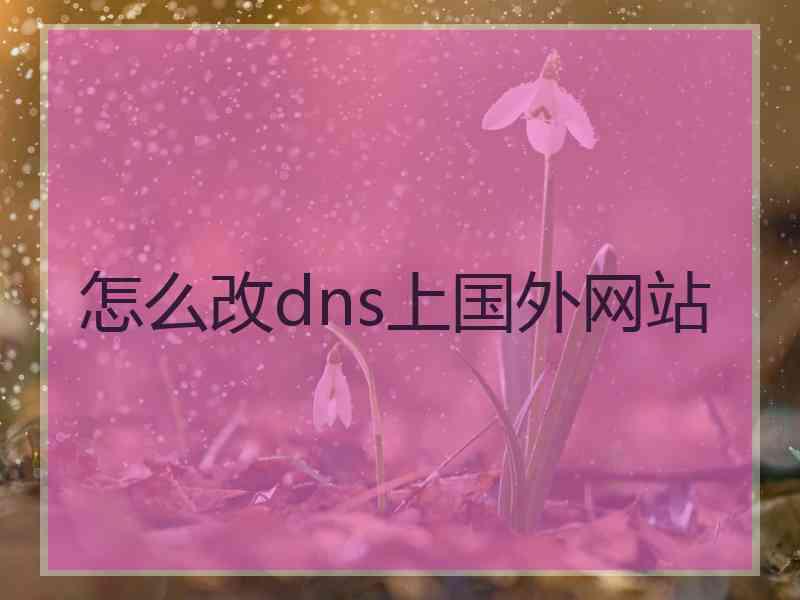 怎么改dns上国外网站