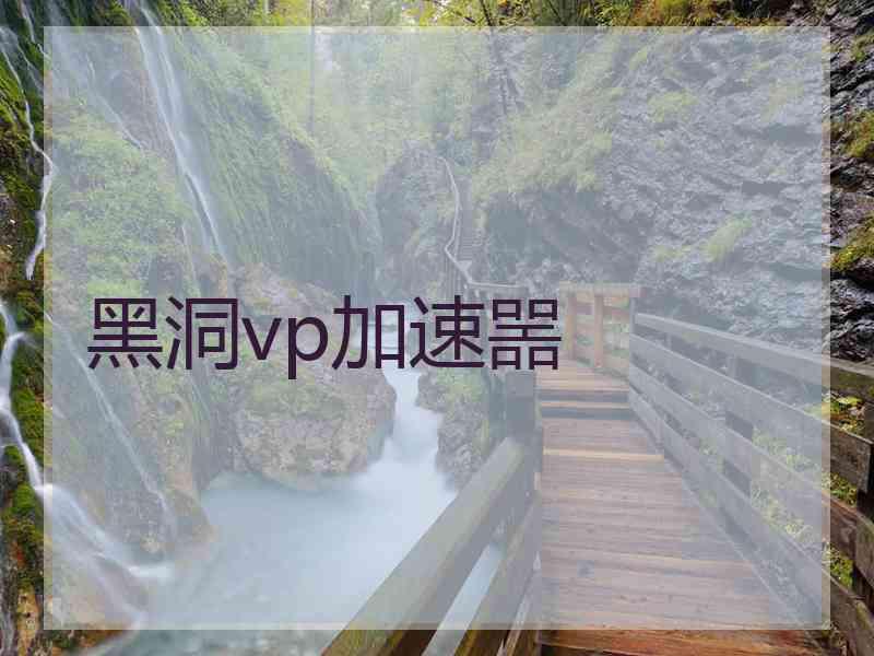 黑洞vp加速噐