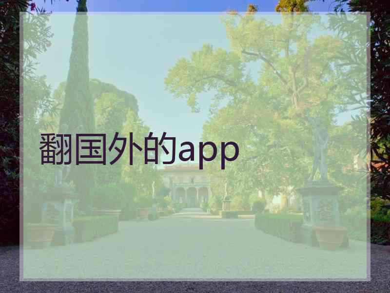 翻国外的app