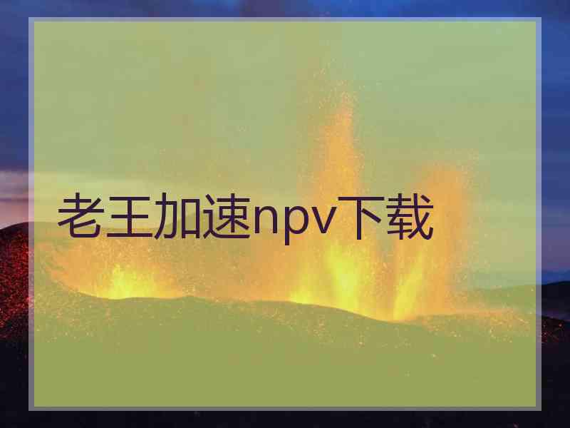 老王加速npv下载