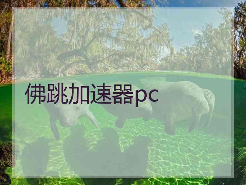 佛跳加速器pc