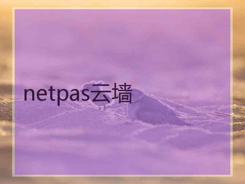 netpas云墙