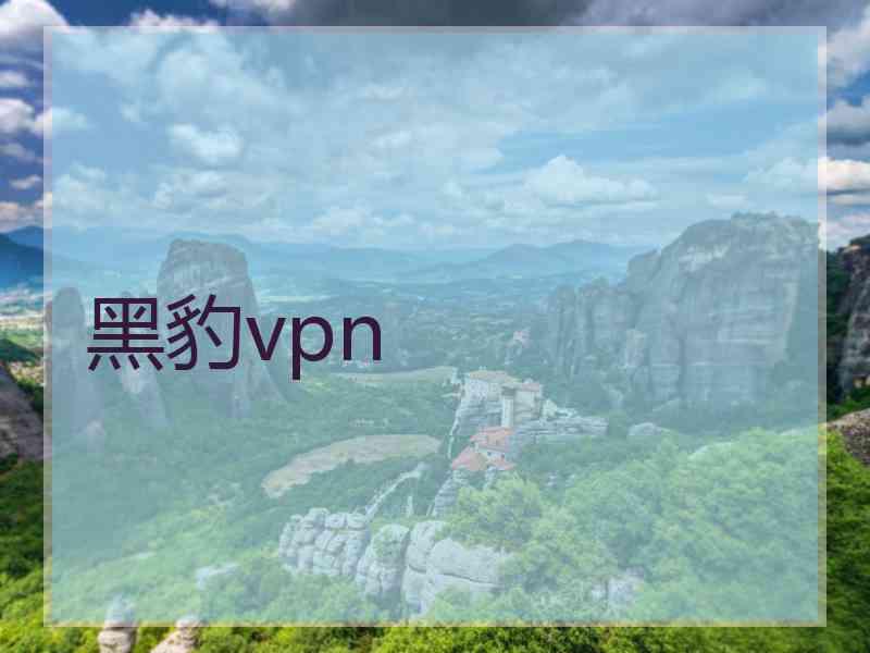 黑豹vpn