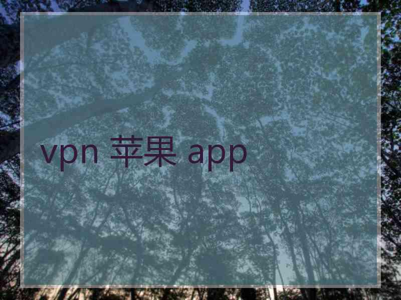 vpn 苹果 app