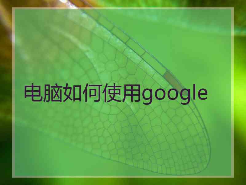 电脑如何使用google