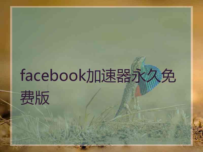 facebook加速器永久免费版