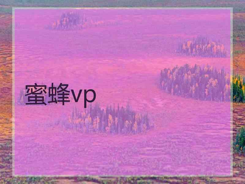 蜜蜂vp