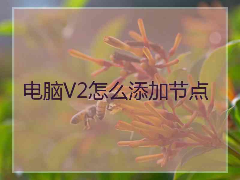 电脑V2怎么添加节点