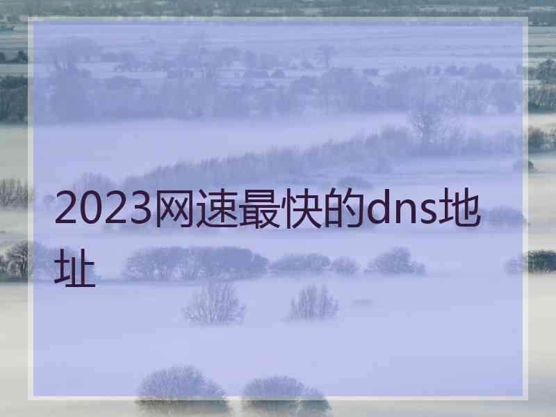 2023网速最快的dns地址