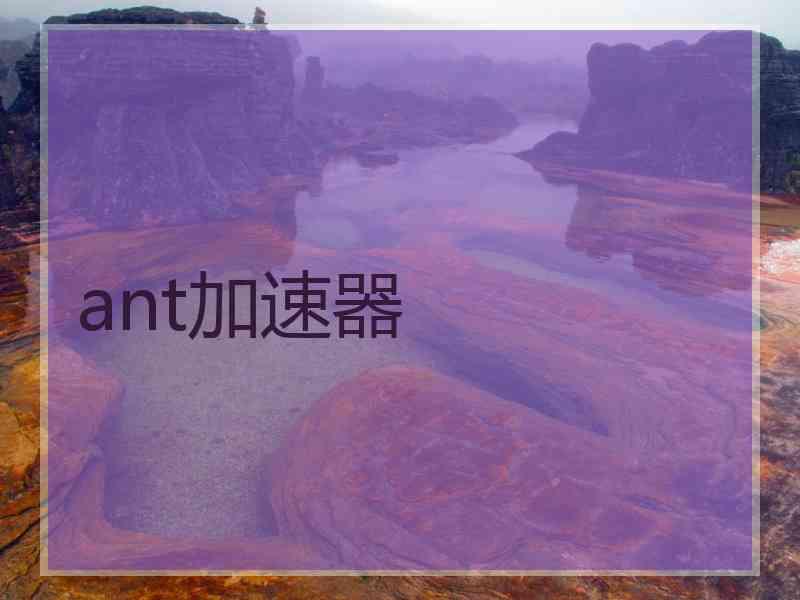 ant加速器