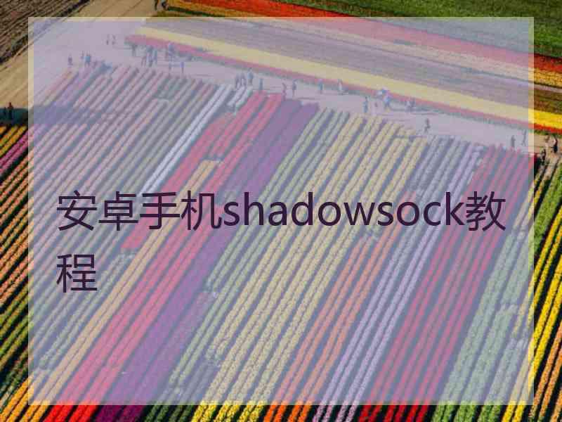 安卓手机shadowsock教程