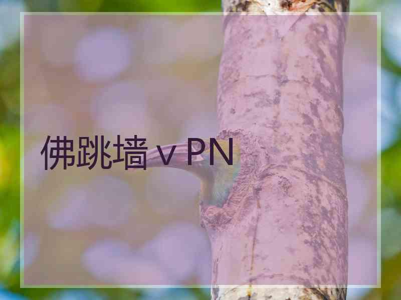 佛跳墙ⅴPN