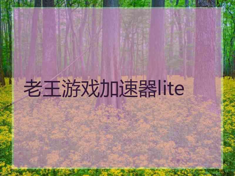 老王游戏加速器lite