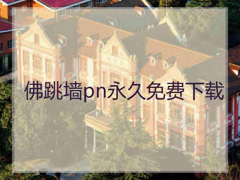 佛跳墙pn永久免费下载