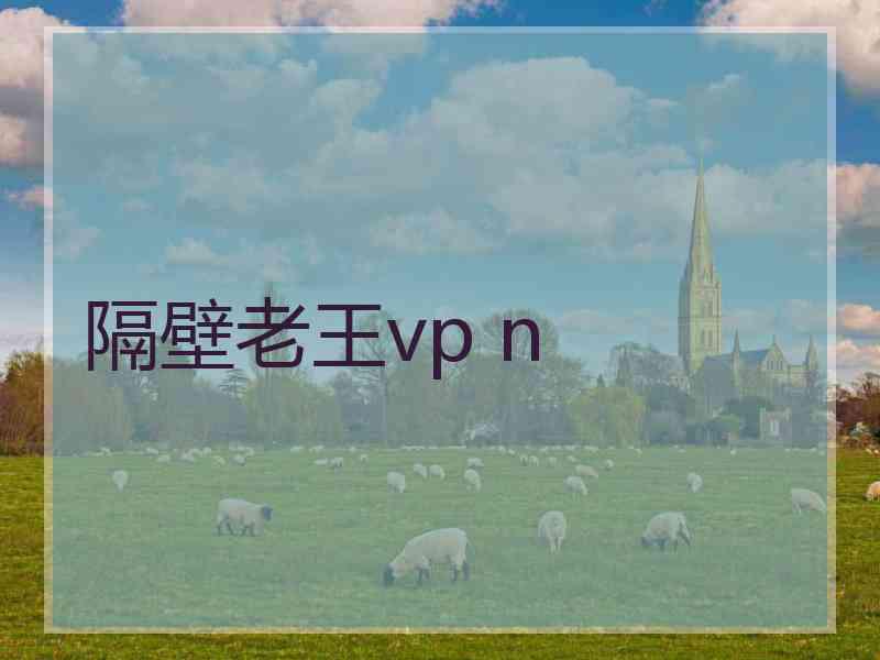 隔壁老王vp n