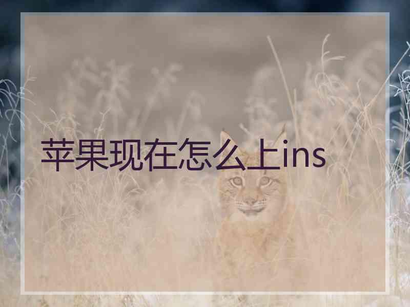 苹果现在怎么上ins