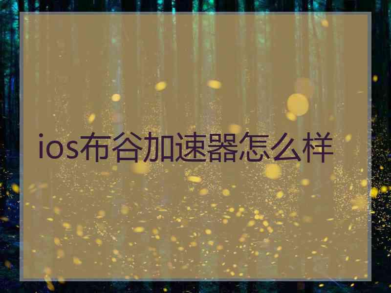 ios布谷加速器怎么样