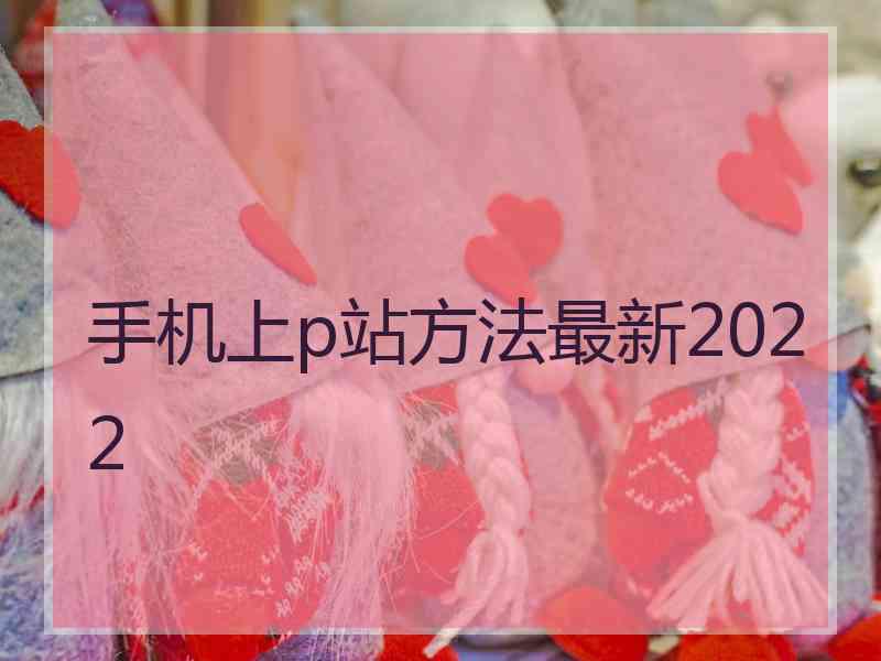 手机上p站方法最新2022