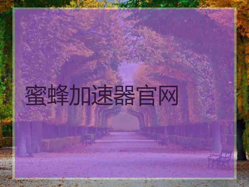 蜜蜂加速器官网