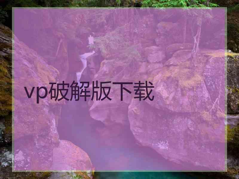 vp破解版下载