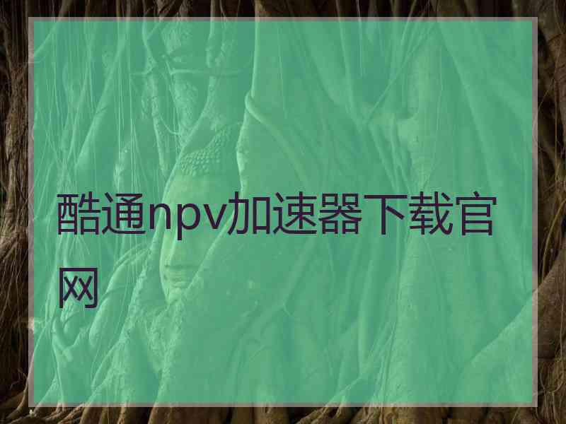 酷通npv加速器下载官网