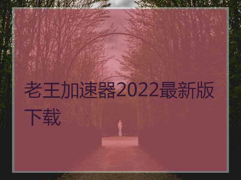 老王加速器2022最新版下载