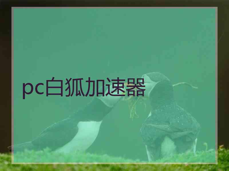 pc白狐加速器