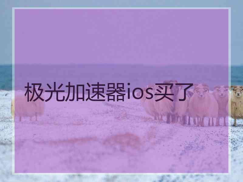 极光加速器ios买了