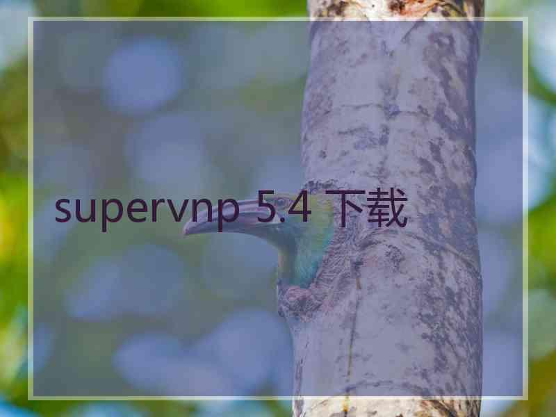 supervnp 5.4 下载