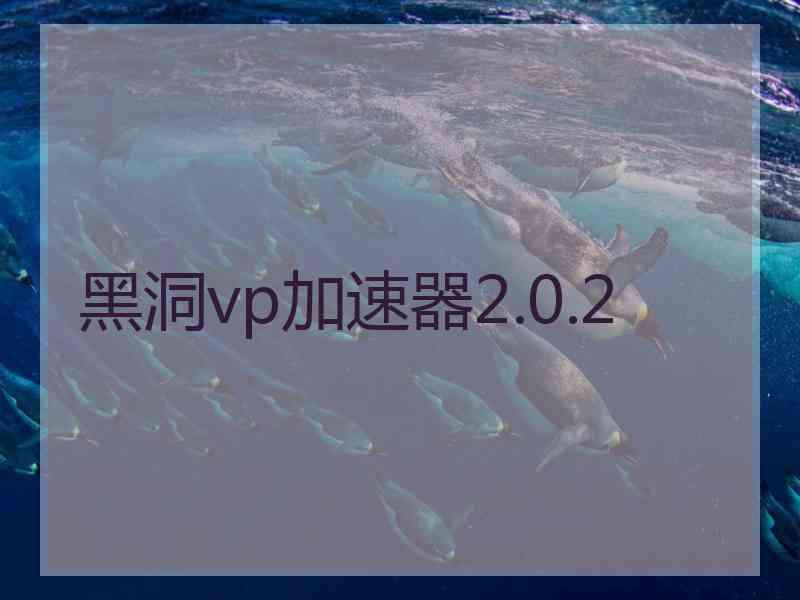 黑洞vp加速器2.0.2