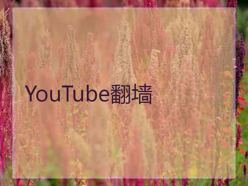 YouTube翻墙