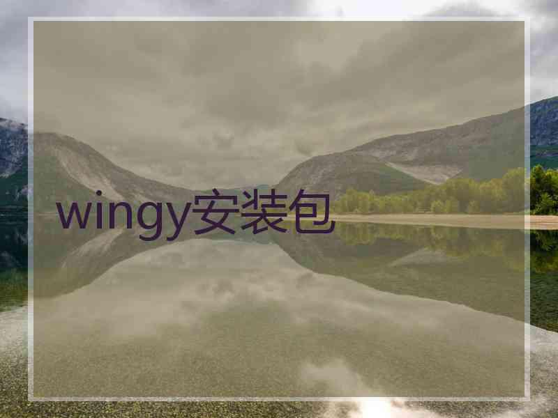 wingy安装包