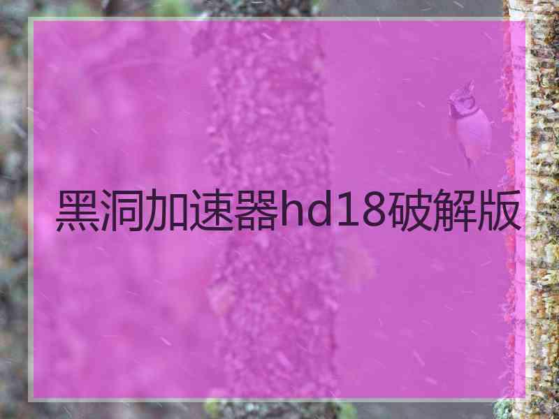 黑洞加速器hd18破解版