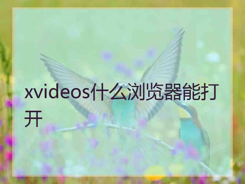 xvideos什么浏览器能打开