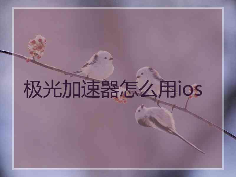 极光加速器怎么用ios