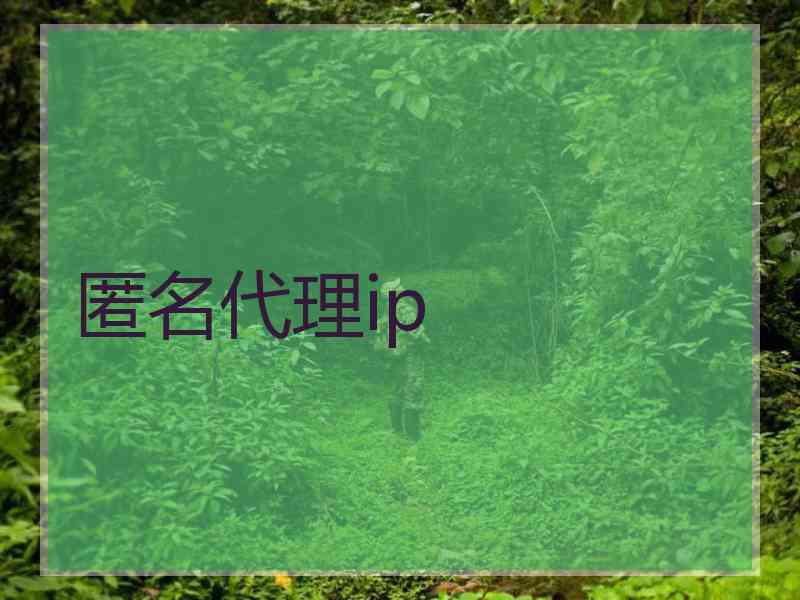 匿名代理ip