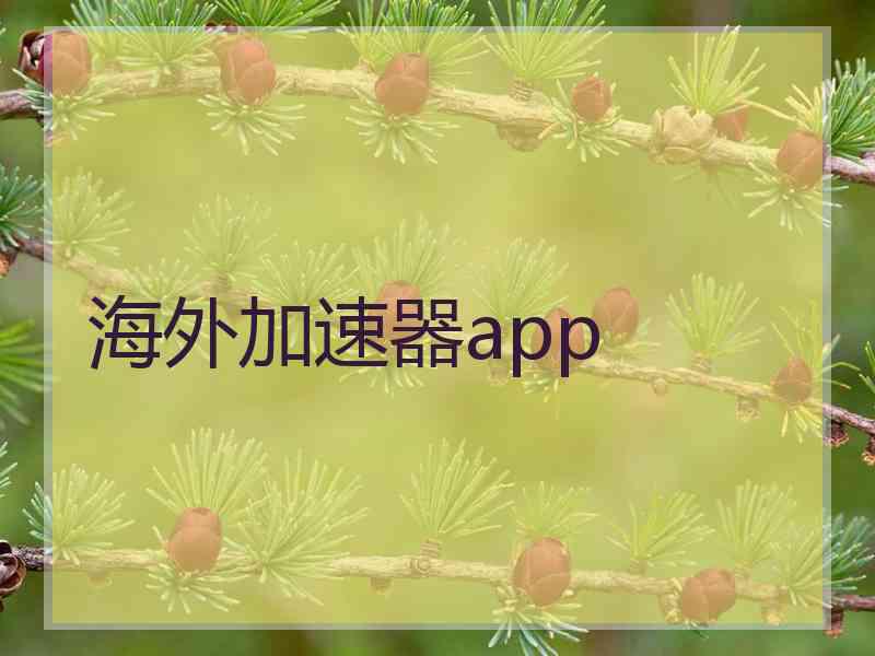 海外加速器app