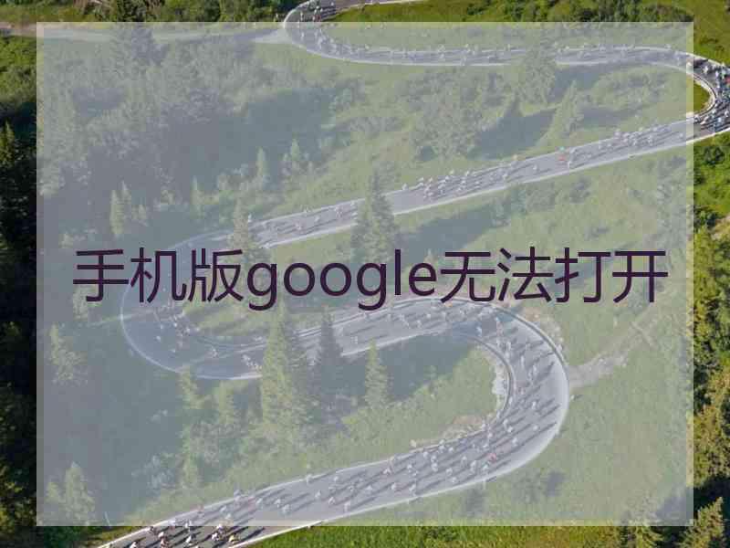 手机版google无法打开