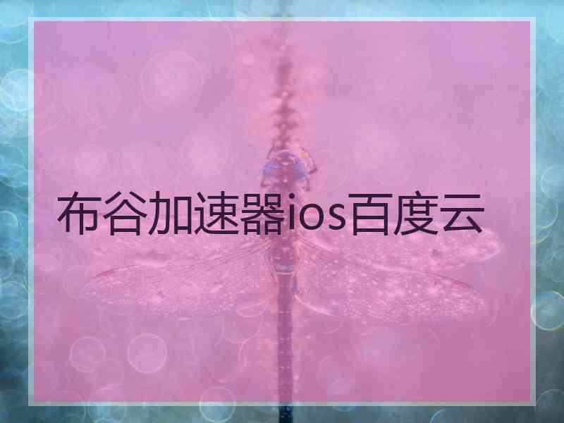 布谷加速器ios百度云