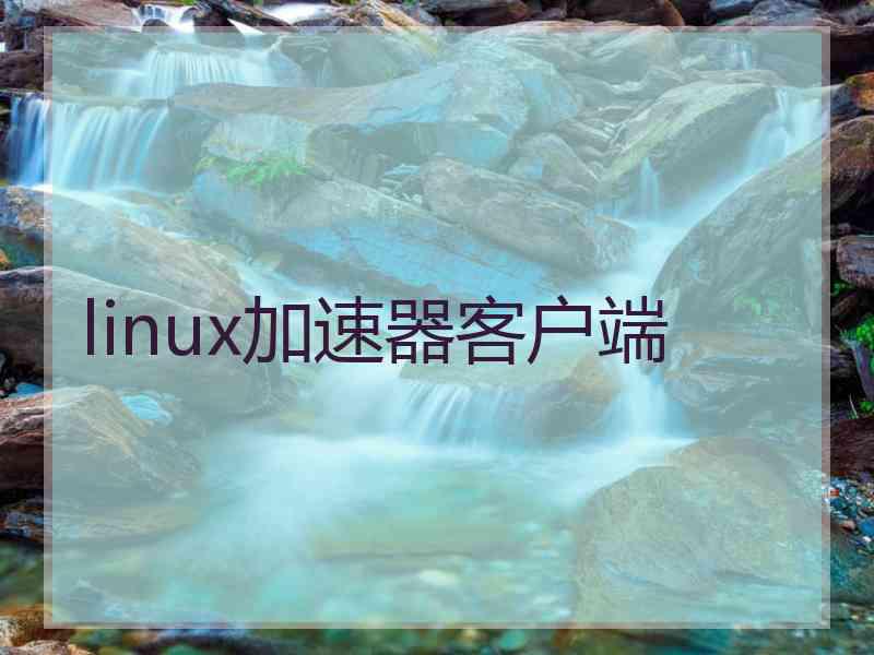 linux加速器客户端